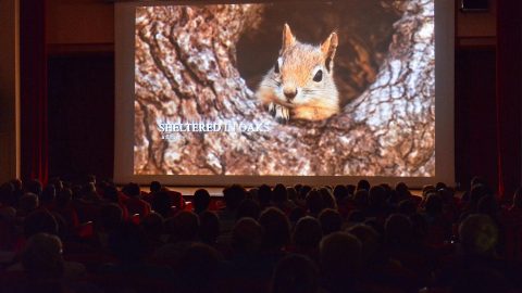 2017-07-24 20 Gran Paradiso Film Festival Cerimonia di apertura edizione 20