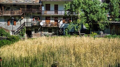 GPFF 2018 Sulle tracce della segale e moutain bike ITER rhemes saint georges