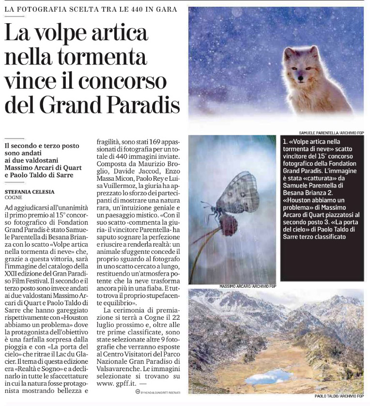La volpe artica nella tormenta vince il concorso del Grand Paradis
