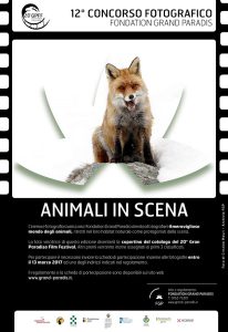 2016-12-01 Concorso fotografico Animali in scena-bassa.output 2016-12-01 Concorso fotografico Animali in scena-bassa.output