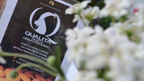 2019-07-22 Gran Paradiso Film Festival - Apertura- Giovani Talenti25