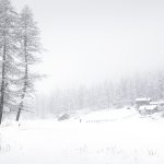 Copertina_in_paradiso_2_web