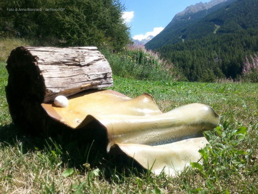 Foto di Anna Biancardi - archivio FGP